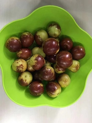 哪里的冬棗最好?山東沾化、河北黃驊、陜西大荔,還是山西、新疆江西或其他地方?